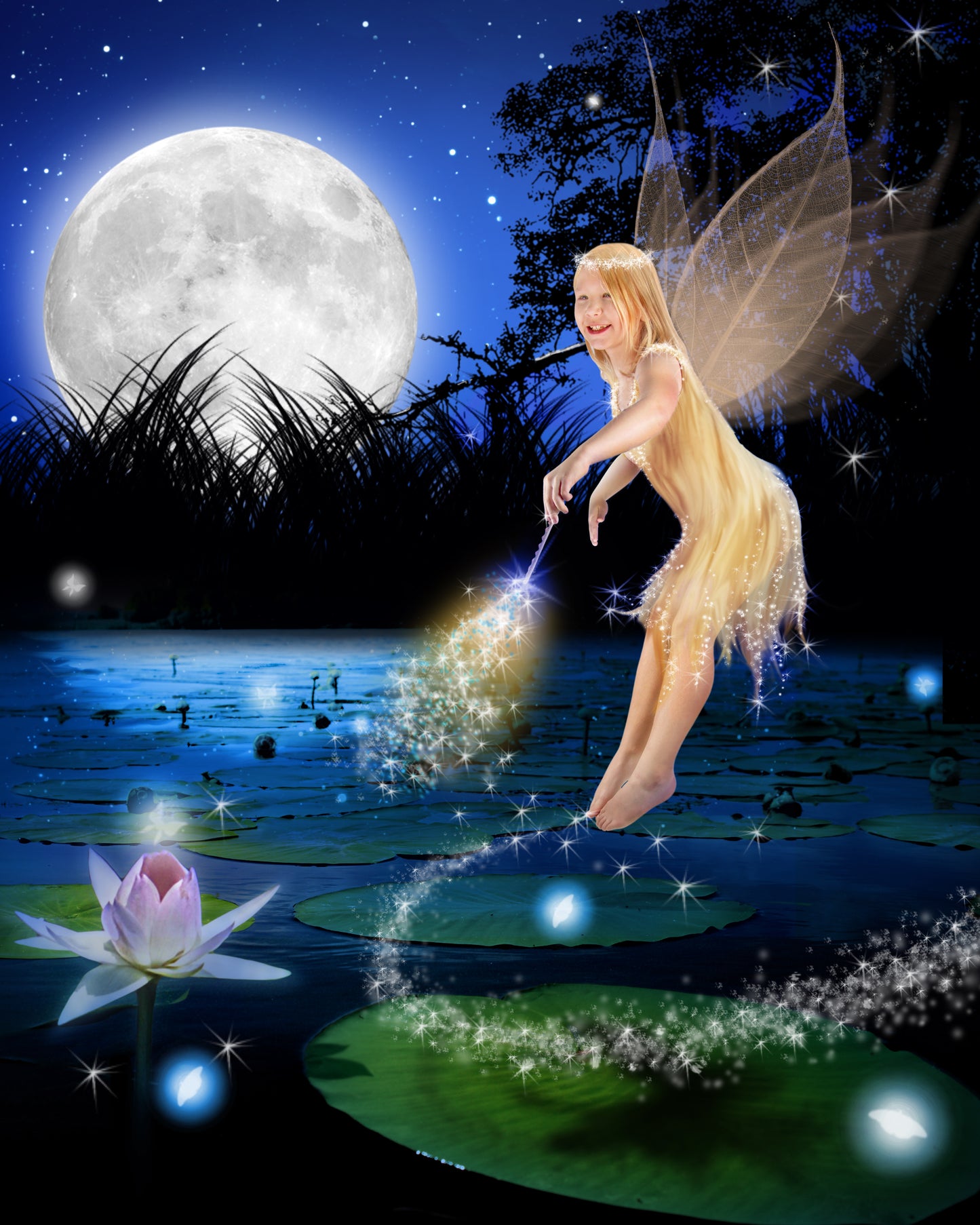 Fab Fairy Design F